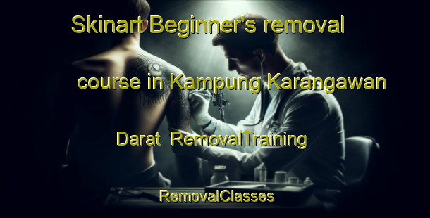 Skinart Beginner's removal course in Kampung Karangawan Darat | RemovalTraining | RemovalClasses | SkinartTraining-Malaysia