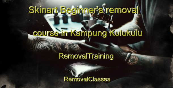 Skinart Beginner's removal course in Kampung Kulukulu | RemovalTraining | RemovalClasses | SkinartTraining-Malaysia