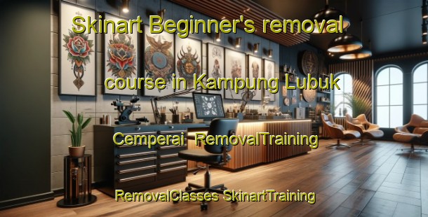 Skinart Beginner's removal course in Kampung Lubuk Cemperai | #RemovalTraining #RemovalClasses #SkinartTraining-Malaysia