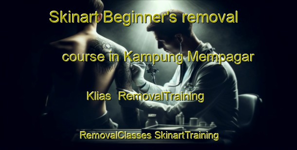 Skinart Beginner's removal course in Kampung Mempagar Klias | #RemovalTraining #RemovalClasses #SkinartTraining-Malaysia