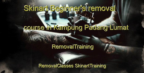 Skinart Beginner's removal course in Kampung Padang Lumat | #RemovalTraining #RemovalClasses #SkinartTraining-Malaysia