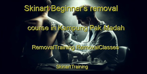 Skinart Beginner's removal course in Kampung Pak Madah | #RemovalTraining #RemovalClasses #SkinartTraining-Malaysia