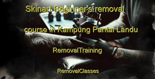 Skinart Beginner's removal course in Kampung Pantai Landu | RemovalTraining | RemovalClasses | SkinartTraining-Malaysia