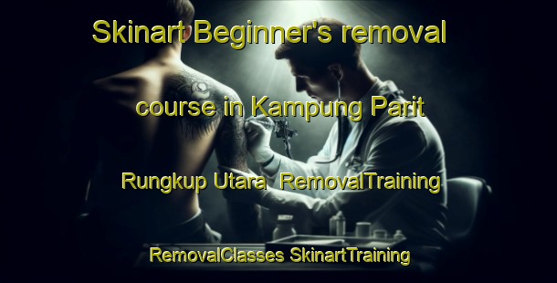 Skinart Beginner's removal course in Kampung Parit Rungkup Utara | #RemovalTraining #RemovalClasses #SkinartTraining-Malaysia