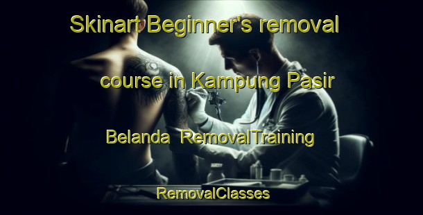 Skinart Beginner's removal course in Kampung Pasir Belanda | RemovalTraining | RemovalClasses | SkinartTraining-Malaysia