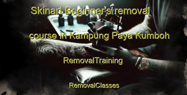 Skinart Beginner's removal course in Kampung Paya Kumboh | RemovalTraining | RemovalClasses | SkinartTraining-Malaysia