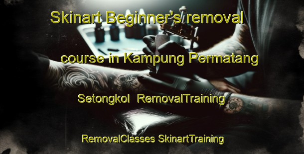 Skinart Beginner's removal course in Kampung Permatang Setongkol | #RemovalTraining #RemovalClasses #SkinartTraining-Malaysia