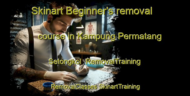 Skinart Beginner's removal course in Kampung Permatang Setongkol | #RemovalTraining #RemovalClasses #SkinartTraining-Malaysia