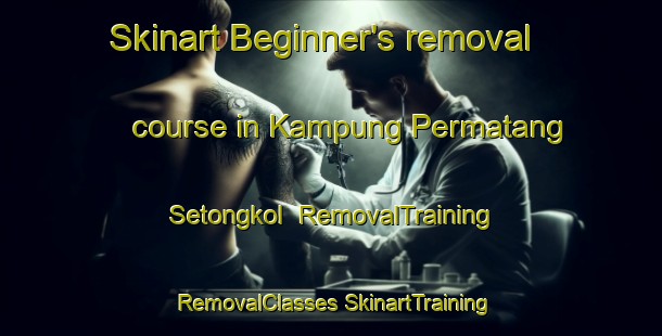 Skinart Beginner's removal course in Kampung Permatang Setongkol | #RemovalTraining #RemovalClasses #SkinartTraining-Malaysia