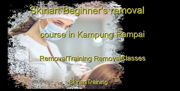 Skinart Beginner's removal course in Kampung Rampai | #RemovalTraining #RemovalClasses #SkinartTraining-Malaysia