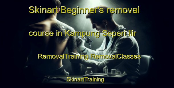 Skinart Beginner's removal course in Kampung Seperi Ilir | #RemovalTraining #RemovalClasses #SkinartTraining-Malaysia