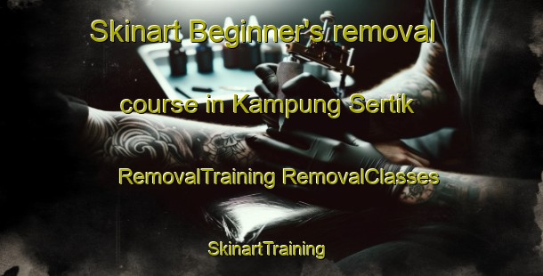 Skinart Beginner's removal course in Kampung Sertik | #RemovalTraining #RemovalClasses #SkinartTraining-Malaysia