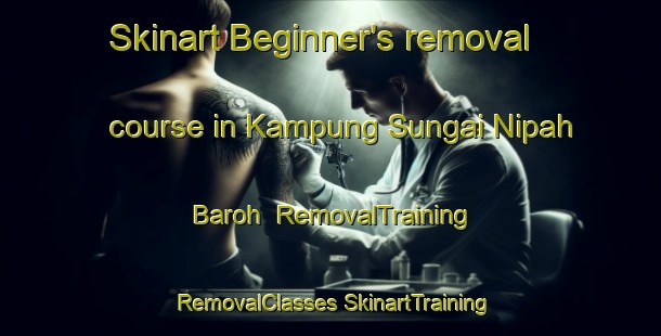 Skinart Beginner's removal course in Kampung Sungai Nipah Baroh | #RemovalTraining #RemovalClasses #SkinartTraining-Malaysia