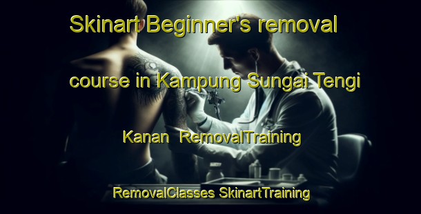 Skinart Beginner's removal course in Kampung Sungai Tengi Kanan | #RemovalTraining #RemovalClasses #SkinartTraining-Malaysia