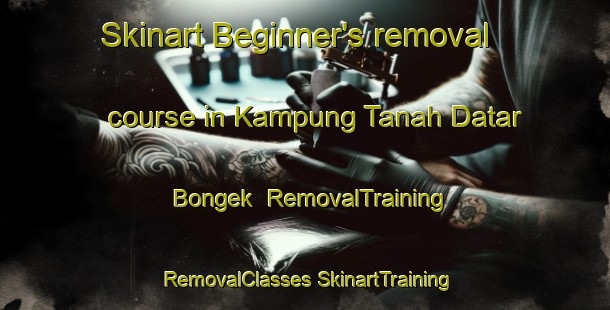 Skinart Beginner's removal course in Kampung Tanah Datar Bongek | #RemovalTraining #RemovalClasses #SkinartTraining-Malaysia