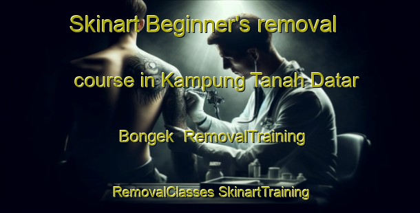 Skinart Beginner's removal course in Kampung Tanah Datar Bongek | #RemovalTraining #RemovalClasses #SkinartTraining-Malaysia