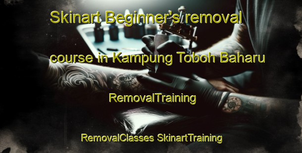 Skinart Beginner's removal course in Kampung Toboh Baharu | #RemovalTraining #RemovalClasses #SkinartTraining-Malaysia