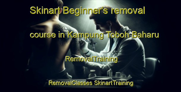 Skinart Beginner's removal course in Kampung Toboh Baharu | #RemovalTraining #RemovalClasses #SkinartTraining-Malaysia