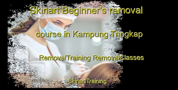 Skinart Beginner's removal course in Kampung Tringkap | #RemovalTraining #RemovalClasses #SkinartTraining-Malaysia