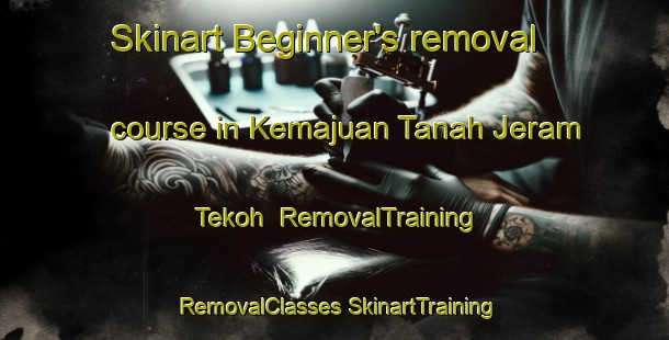 Skinart Beginner's removal course in Kemajuan Tanah Jeram Tekoh | #RemovalTraining #RemovalClasses #SkinartTraining-Malaysia