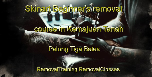 Skinart Beginner's removal course in Kemajuan Tanah Palong Tiga Belas | #RemovalTraining #RemovalClasses #SkinartTraining-Malaysia