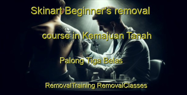 Skinart Beginner's removal course in Kemajuan Tanah Palong Tiga Belas | #RemovalTraining #RemovalClasses #SkinartTraining-Malaysia