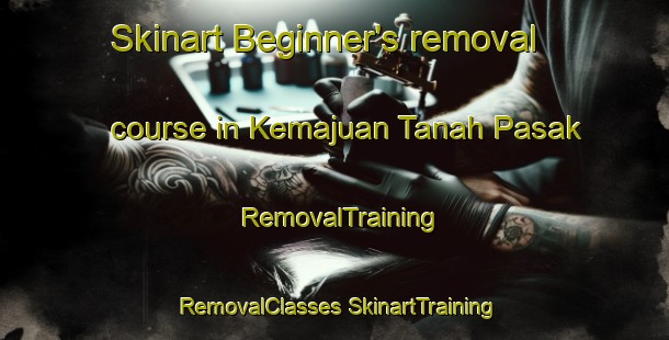 Skinart Beginner's removal course in Kemajuan Tanah Pasak | #RemovalTraining #RemovalClasses #SkinartTraining-Malaysia