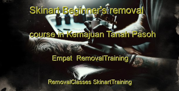 Skinart Beginner's removal course in Kemajuan Tanah Pasoh Empat | #RemovalTraining #RemovalClasses #SkinartTraining-Malaysia