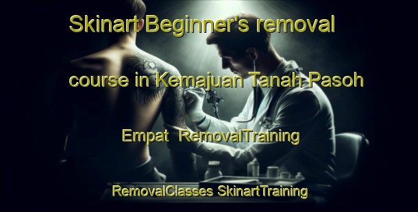 Skinart Beginner's removal course in Kemajuan Tanah Pasoh Empat | #RemovalTraining #RemovalClasses #SkinartTraining-Malaysia