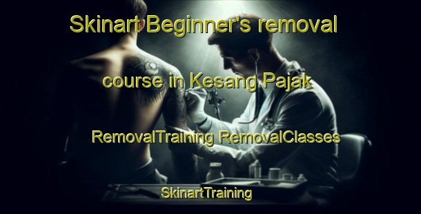 Skinart Beginner's removal course in Kesang Pajak | #RemovalTraining #RemovalClasses #SkinartTraining-Malaysia