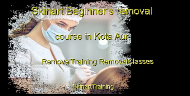 Skinart Beginner's removal course in Kota Aur | #RemovalTraining #RemovalClasses #SkinartTraining-Malaysia