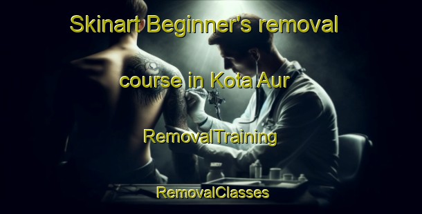 Skinart Beginner's removal course in Kota Aur | RemovalTraining | RemovalClasses | SkinartTraining-Malaysia