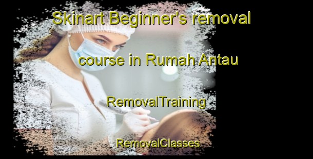 Skinart Beginner's removal course in Rumah Antau | RemovalTraining | RemovalClasses | SkinartTraining-Malaysia