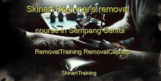 Skinart Beginner's removal course in Sempang Sentul | #RemovalTraining #RemovalClasses #SkinartTraining-Malaysia