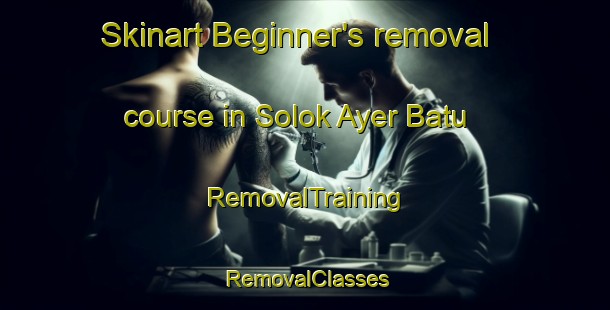 Skinart Beginner's removal course in Solok Ayer Batu | RemovalTraining | RemovalClasses | SkinartTraining-Malaysia