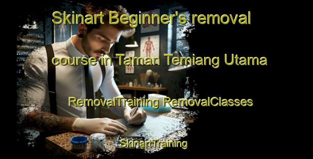 Skinart Beginner's removal course in Taman Temiang Utama | #RemovalTraining #RemovalClasses #SkinartTraining-Malaysia