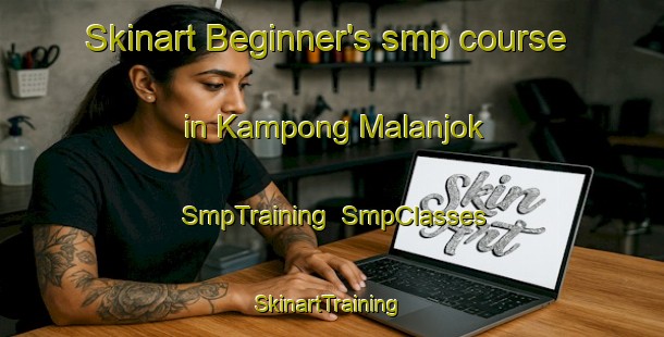 Skinart Beginner's smp course in Kampong Malanjok | SmpTraining | SmpClasses | SkinartTraining-Malaysia
