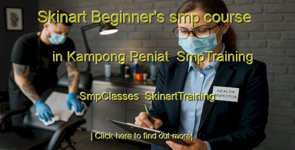 Skinart Beginner's smp course in Kampong Peniat | SmpTraining | SmpClasses | SkinartTraining-Malaysia
