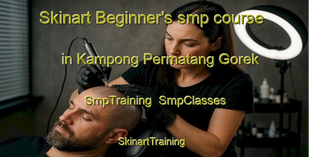 Skinart Beginner's smp course in Kampong Permatang Gorek | SmpTraining | SmpClasses | SkinartTraining-Malaysia