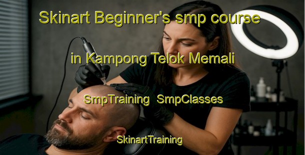 Skinart Beginner's smp course in Kampong Telok Memali | SmpTraining | SmpClasses | SkinartTraining-Malaysia