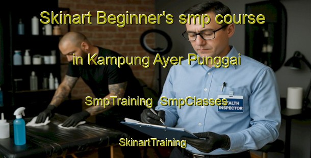 Skinart Beginner's smp course in Kampung Ayer Punggai | SmpTraining | SmpClasses | SkinartTraining-Malaysia