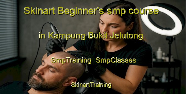 Skinart Beginner's smp course in Kampung Bukit Jelutong | SmpTraining | SmpClasses | SkinartTraining-Malaysia