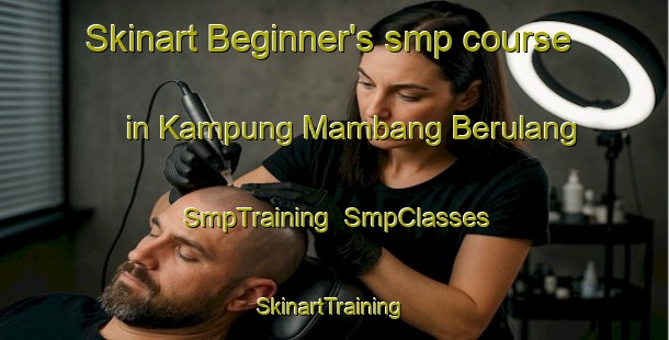 Skinart Beginner's smp course in Kampung Mambang Berulang | SmpTraining | SmpClasses | SkinartTraining-Malaysia