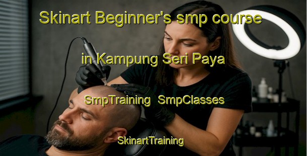Skinart Beginner's smp course in Kampung Seri Paya | SmpTraining | SmpClasses | SkinartTraining-Malaysia