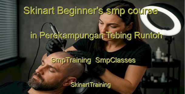 Skinart Beginner's smp course in Perekampungan Tebing Runtoh | SmpTraining | SmpClasses | SkinartTraining-Malaysia