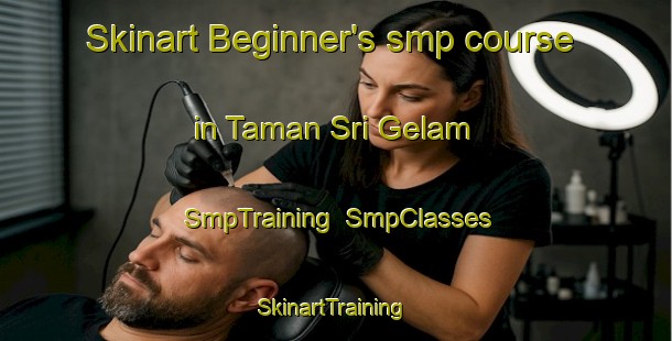 Skinart Beginner's smp course in Taman Sri Gelam | SmpTraining | SmpClasses | SkinartTraining-Malaysia