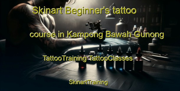 Skinart Beginner's tattoo course in Kampong Bawah Gunong | #TattooTraining #TattooClasses #SkinartTraining-Malaysia