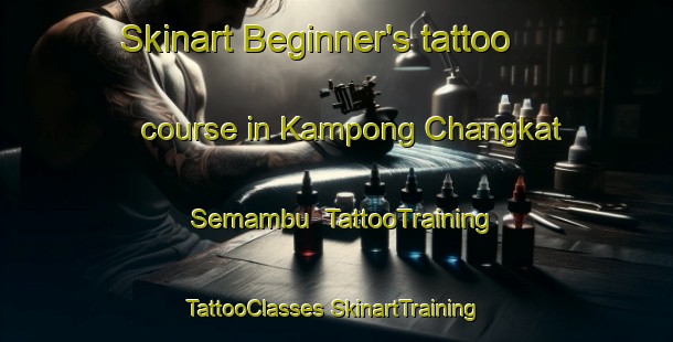 Skinart Beginner's tattoo course in Kampong Changkat Semambu | #TattooTraining #TattooClasses #SkinartTraining-Malaysia