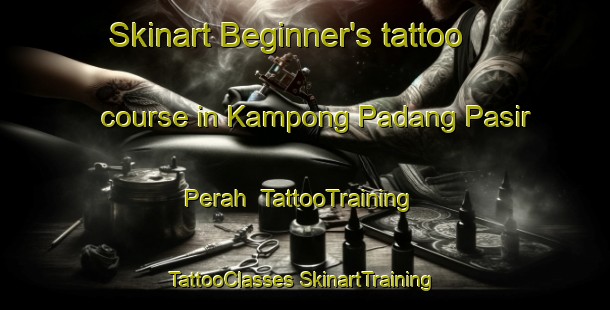 Skinart Beginner's tattoo course in Kampong Padang Pasir Perah | #TattooTraining #TattooClasses #SkinartTraining-Malaysia