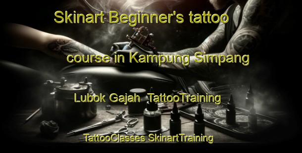 Skinart Beginner's tattoo course in Kampung Simpang Lubok Gajah | #TattooTraining #TattooClasses #SkinartTraining-Malaysia